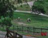 SíTIO - Campinas/SP - Joaquim Egídio - Imagem 3