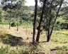 TERRENO - Campinas/SP - Morada das Nascentes (Joaquim Egídio) - Imagem 2