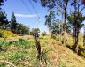 TERRENO - Campinas/SP - Morada das Nascentes (Joaquim Egídio) - Imagem 7