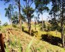 TERRENO - Campinas/SP - Morada das Nascentes (Joaquim Egídio) - Imagem 4